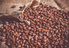 Arabica Coffee Origin: Where Does It Come From, and How Does It Compare to Other Varieties?