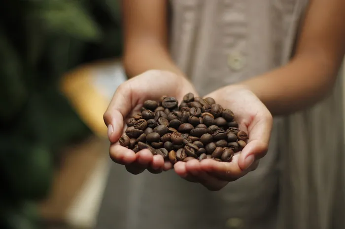 Gourmet Coffee Beans: Everything You Need to Know to Brew Great Coffee