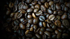 What’s the Darkest Roast Coffee? Everything You Need to Know About Dark Roast Coffee That’s Actually Good