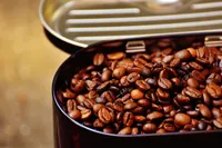 Looking for a totally unique cup of coffee? Check out these rare coffees that can be challenging to find, and learn about why they’re so expensive.