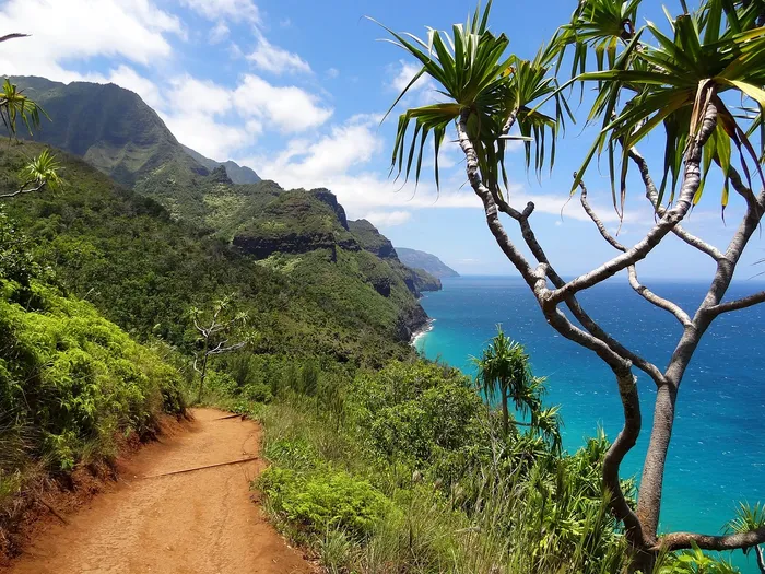 Hawaii Coffee: What Coffee From Hawaii Tastes Like and Why It’s So Expensive