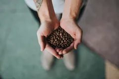 Coffee Beans vs. Espresso Beans: Learn Why “Espresso Beans” Don’t Really Exist