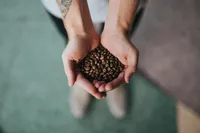 Wondering what the difference is when it comes to coffee beans vs. espresso beans? Check out this guide to find out why “espresso beans” aren’t really a thing.