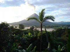 Coffee From Costa Rica: What It Tastes Like and Why It’s Unique